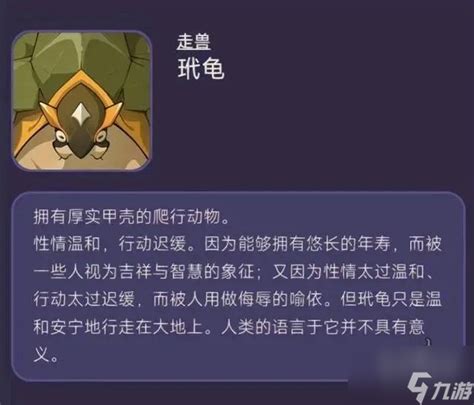 玳瑚师父收费